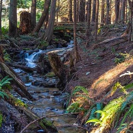 Forest Haven Hideaway Roberts Creek Bagian luar foto