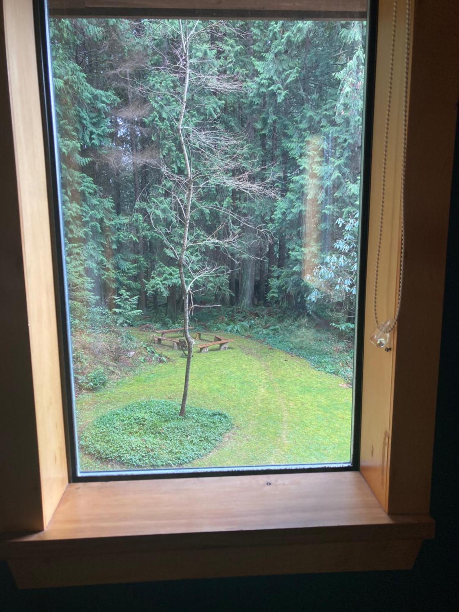 Forest Haven Hideaway Roberts Creek Bagian luar foto